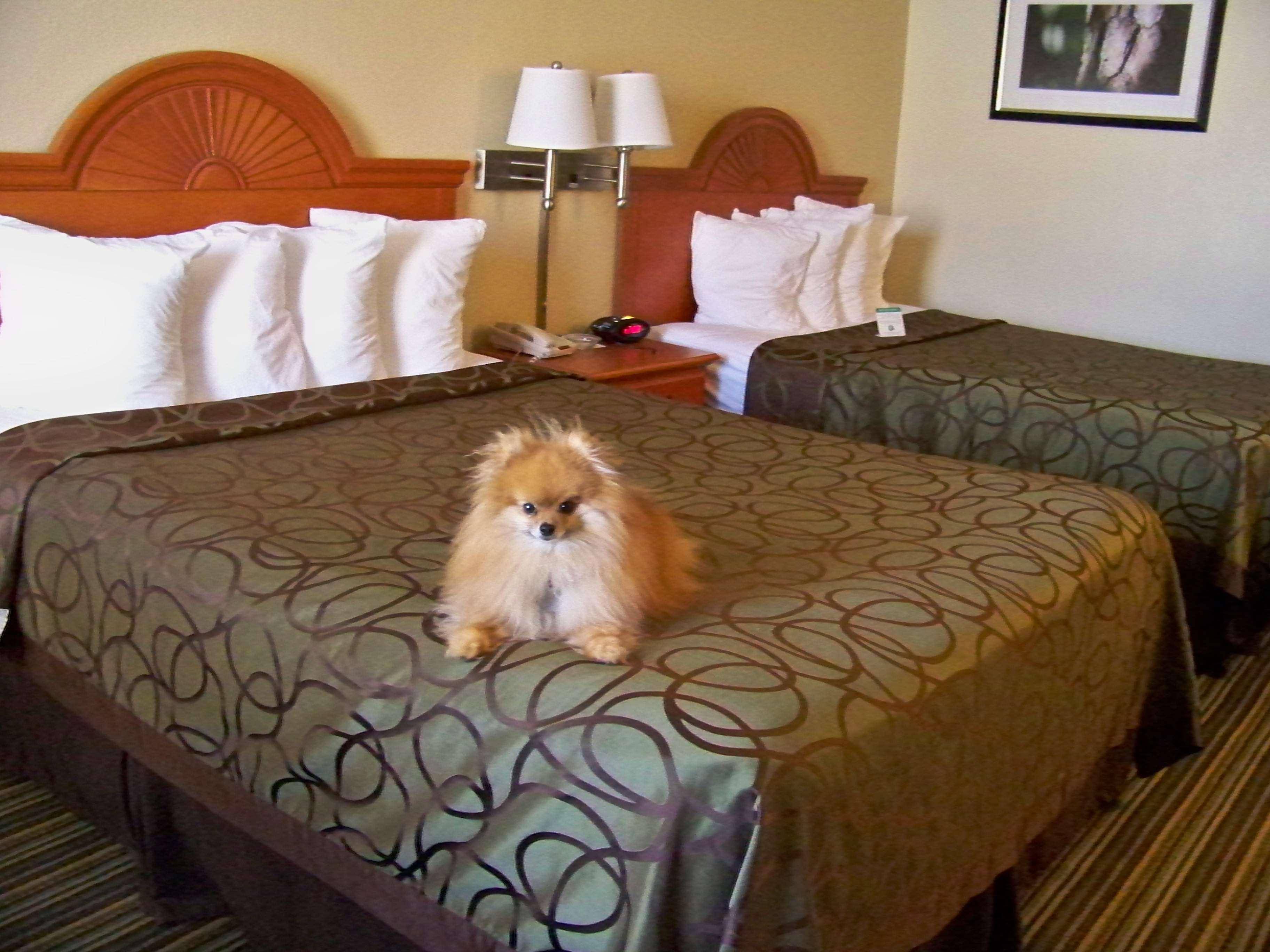 Best Western Of Мерфи Экстерьер фото