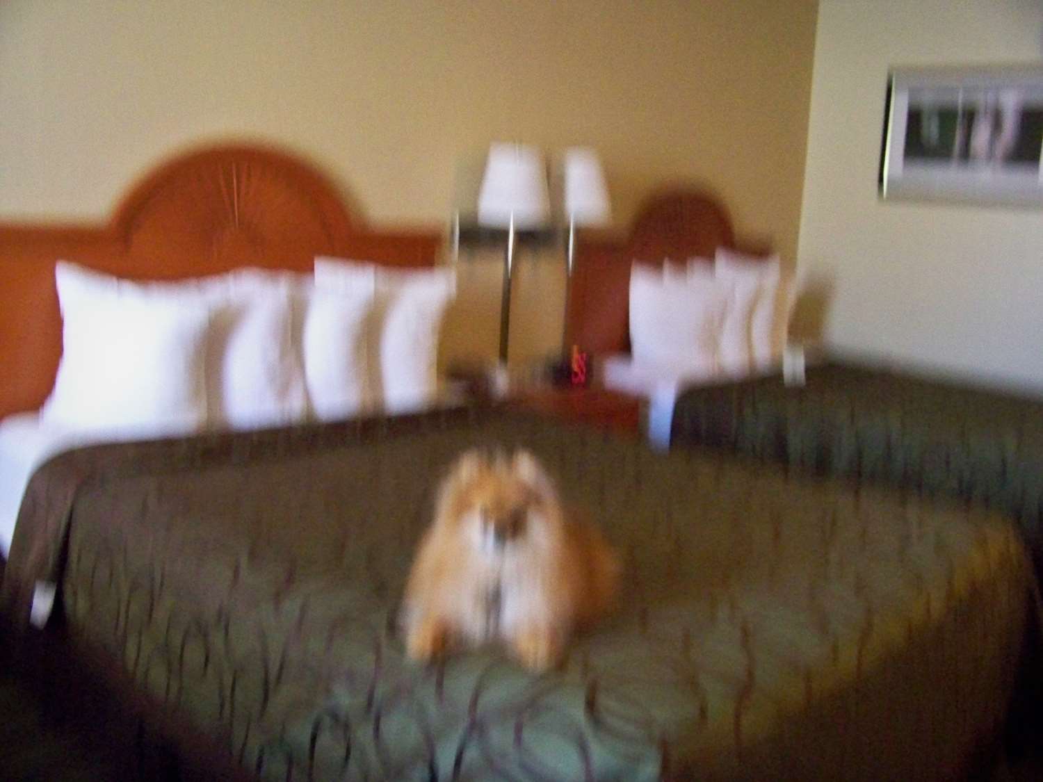 Best Western Of Мерфи Экстерьер фото